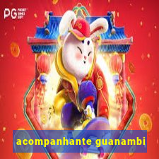 acompanhante guanambi