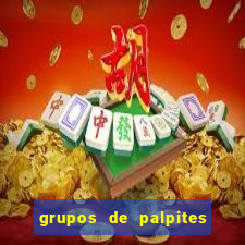 grupos de palpites de futebol whatsapp