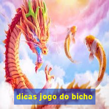 dicas jogo do bicho