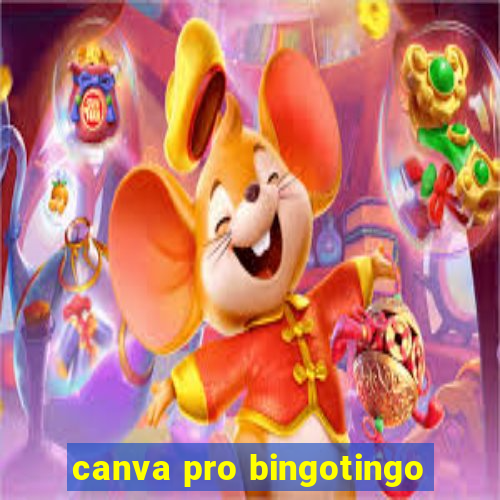 canva pro bingotingo