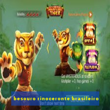 besouro rinoceronte brasileiro