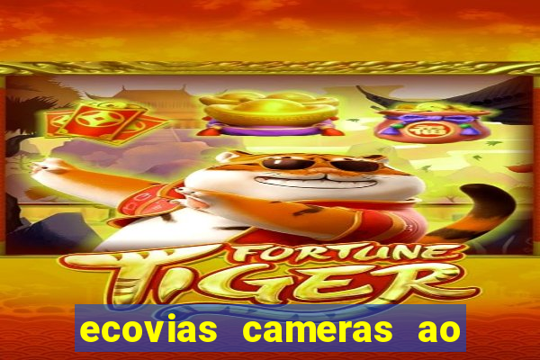 ecovias cameras ao vivo santos