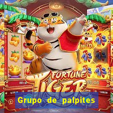 Grupo de palpites de futebol gratis