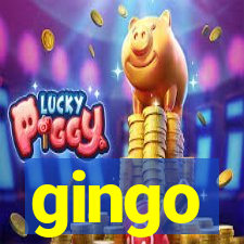 gingo